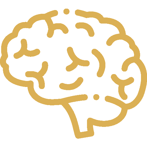 brain icon